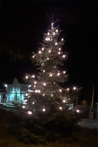 Lüchtringen - Weihnachtsbaum "Am Haarborn"